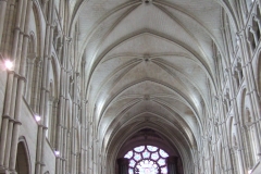 DSCF3646