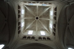 DSCF3648
