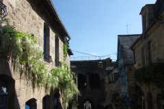 DSCF3768