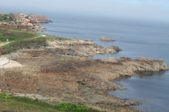 DSCF3780