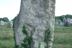 DSCF3870
