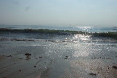 DSCF3880